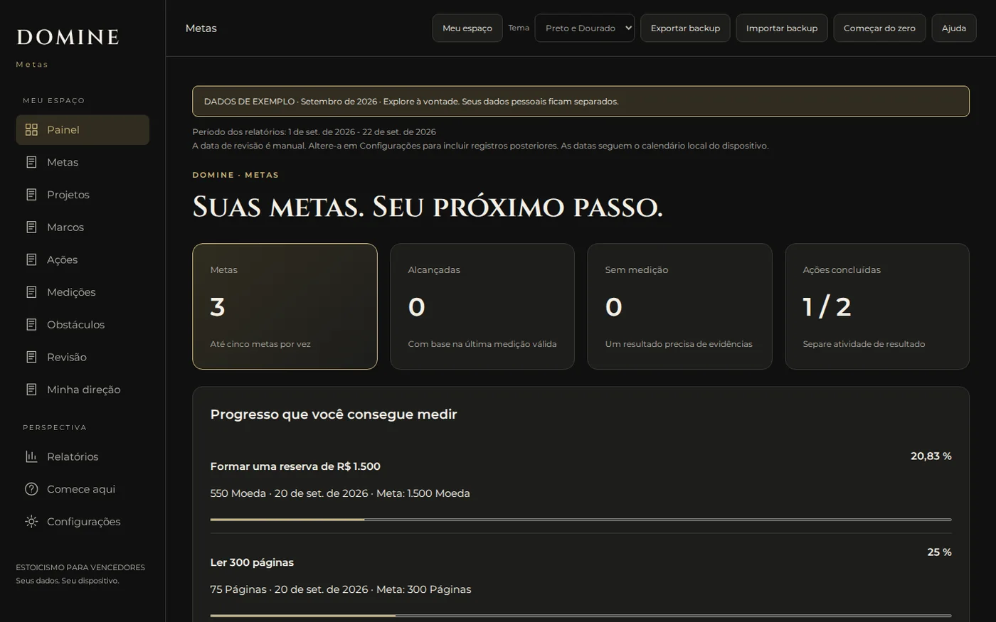 Painel real do aplicativo DOMINE suas Metas